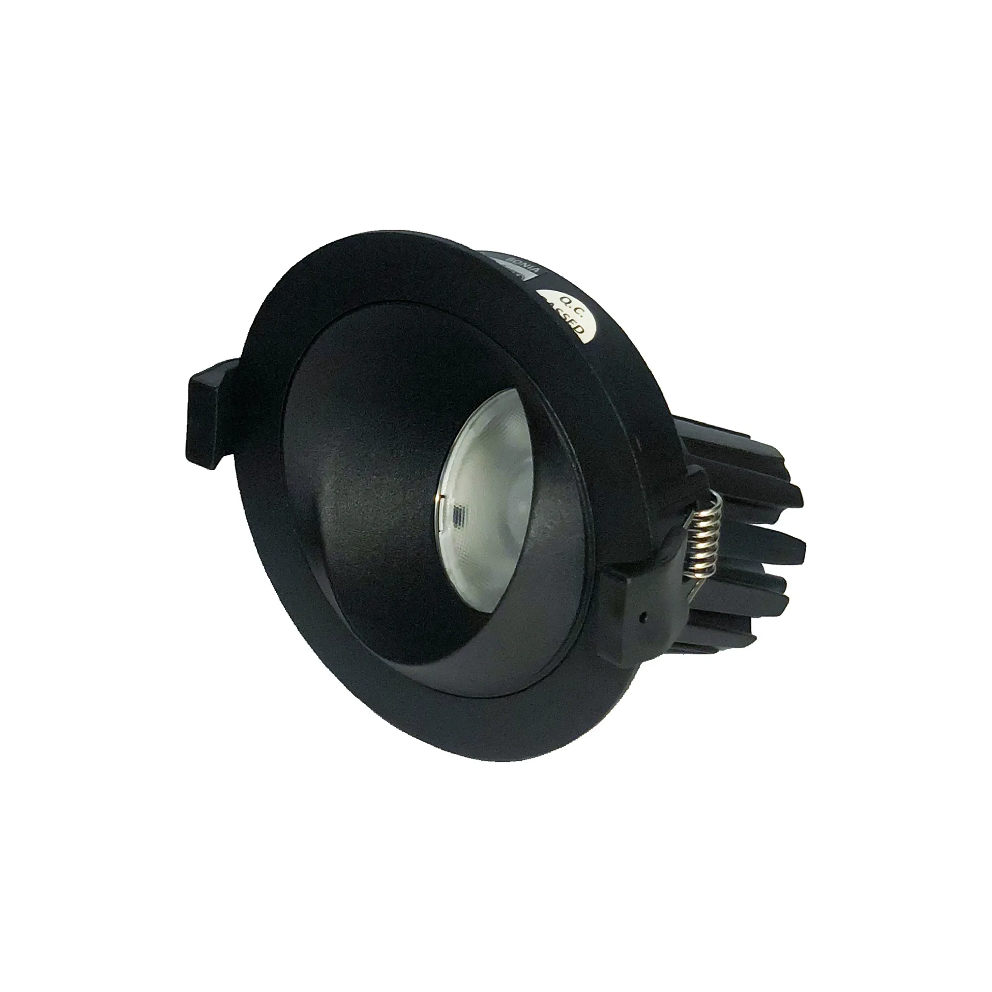 Bonia 15 Recessed Ceiling Luminaires Dlux Round Recess Ceiling